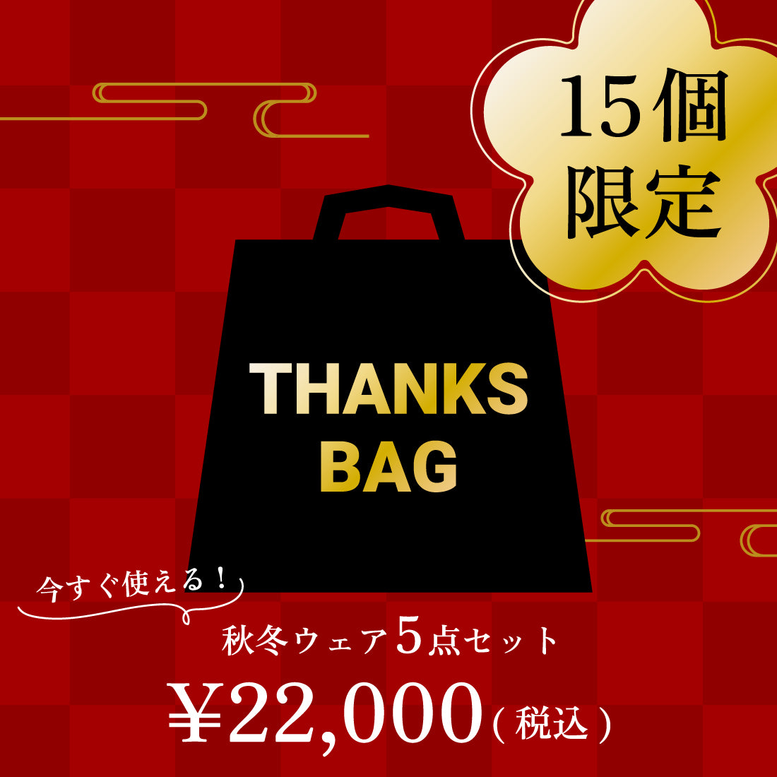 〈完売御礼〉【15個限定】2025年サンクスバッグ