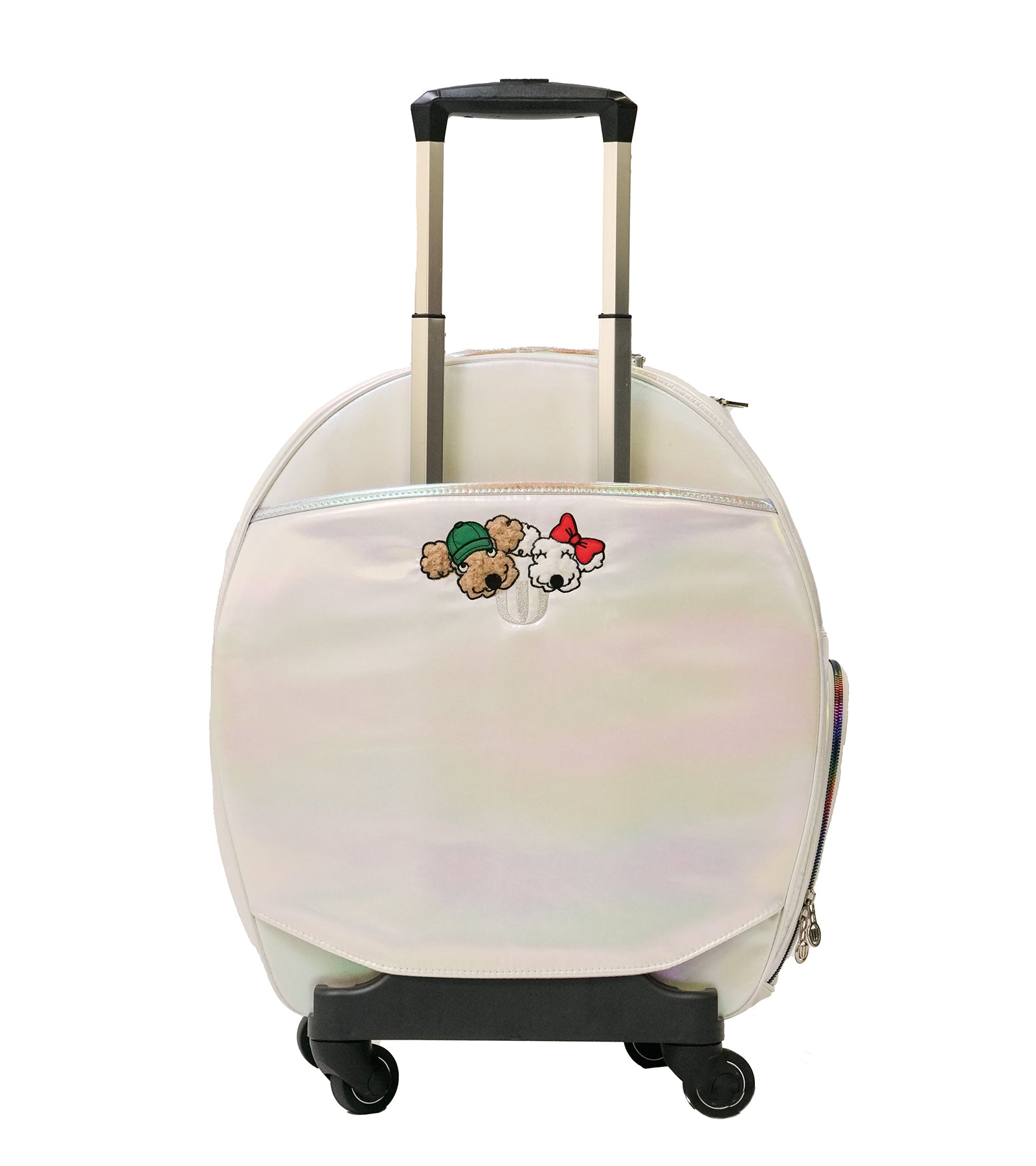 ホログラムオーロラデザインCarryBag