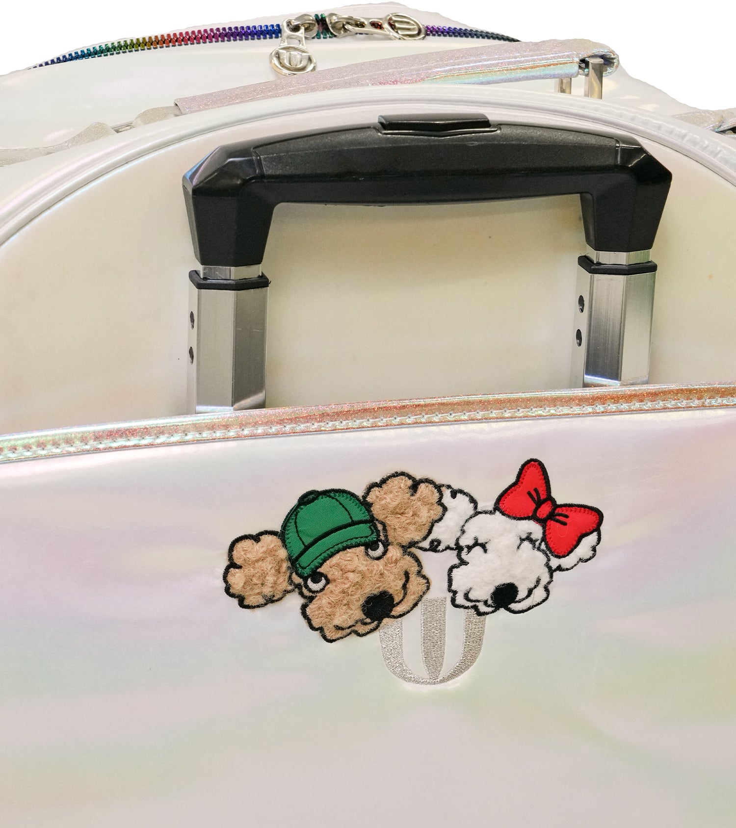 ホログラムオーロラデザインCarryBag