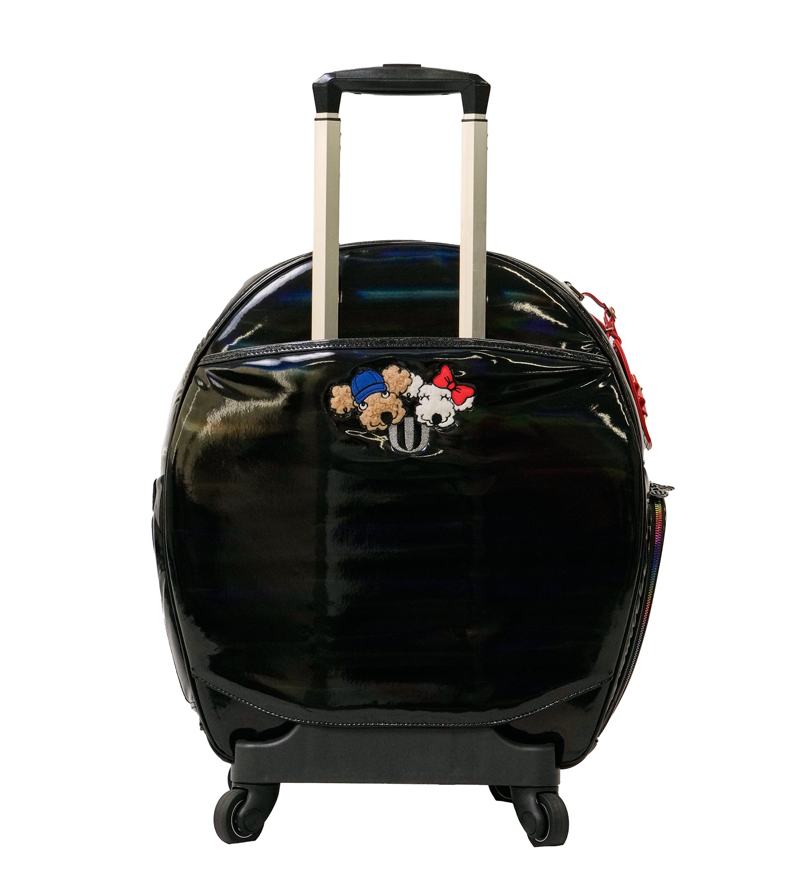 ホログラムオーロラデザインCarryBag