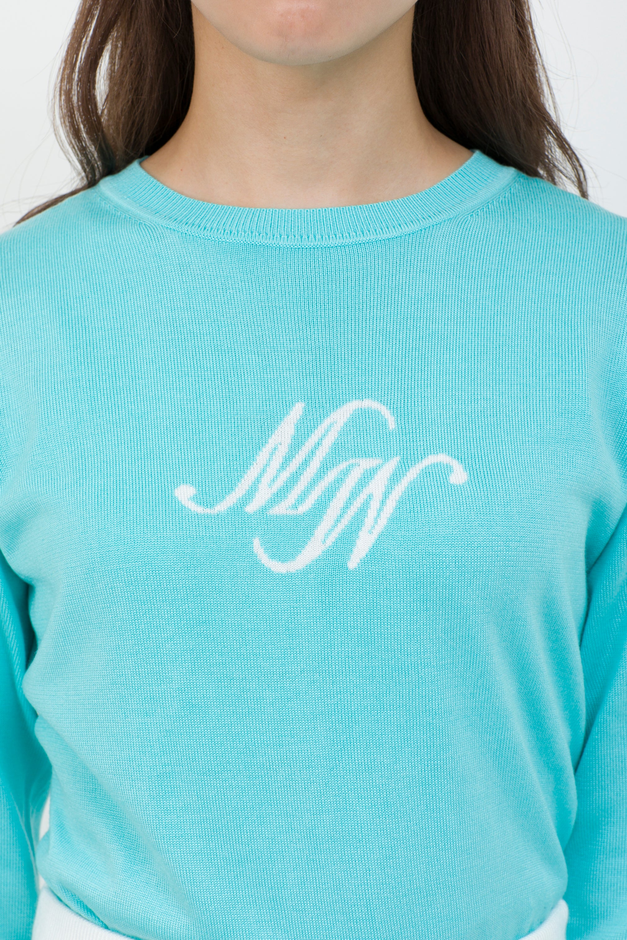 Intarsia long sleeve logo knit (701H6224)